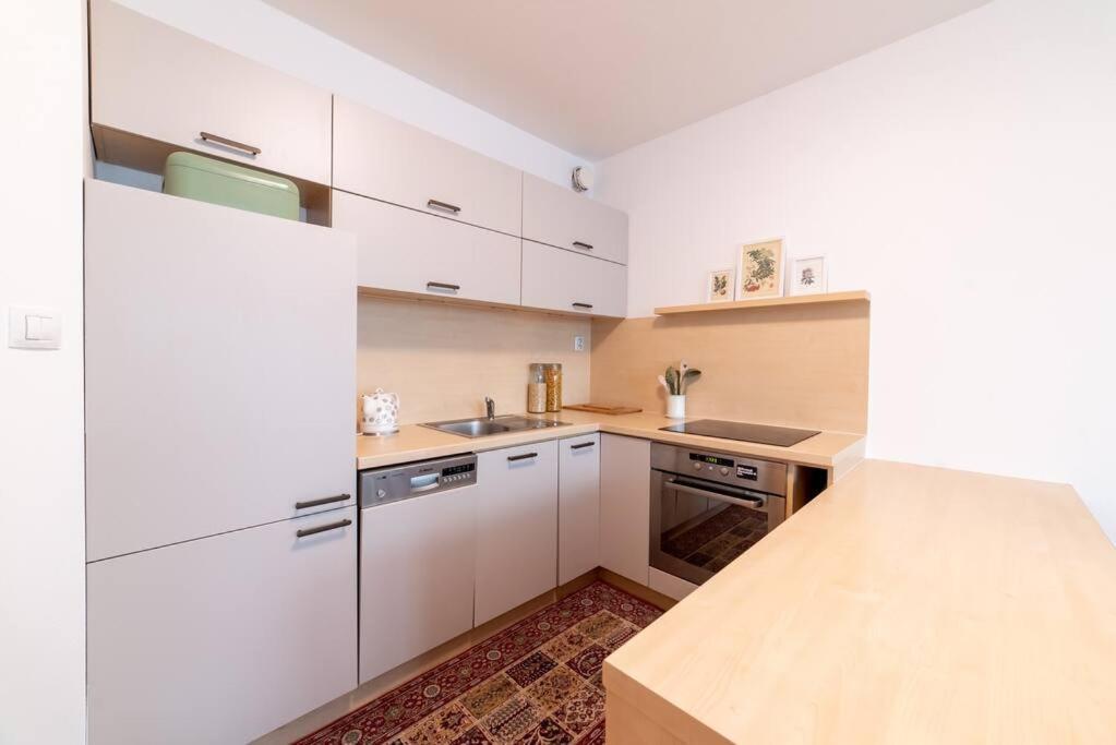 ברטיסלאבה Grape Apartment מראה חיצוני תמונה
