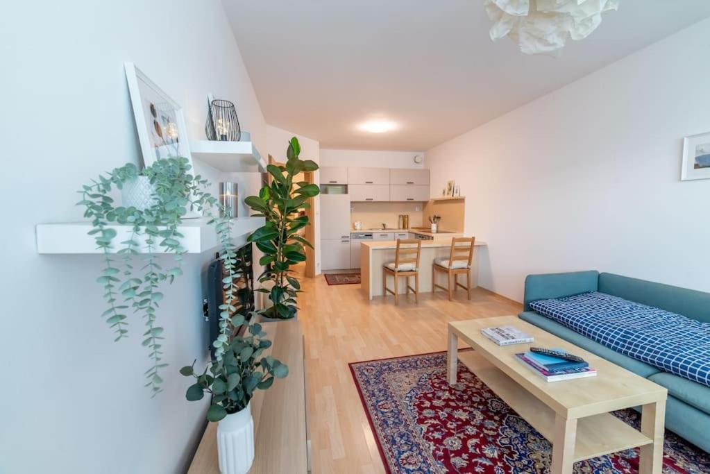 ברטיסלאבה Grape Apartment מראה חיצוני תמונה