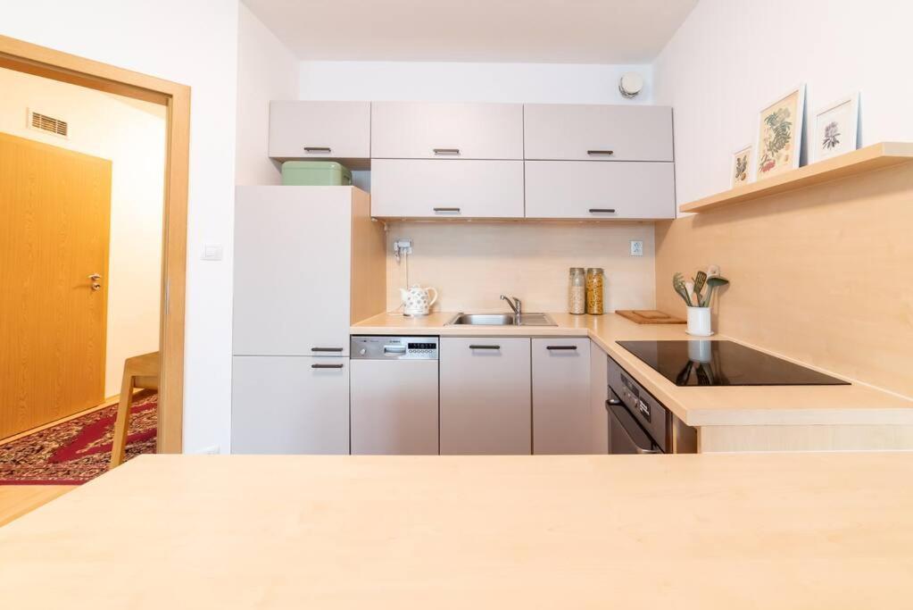 ברטיסלאבה Grape Apartment מראה חיצוני תמונה